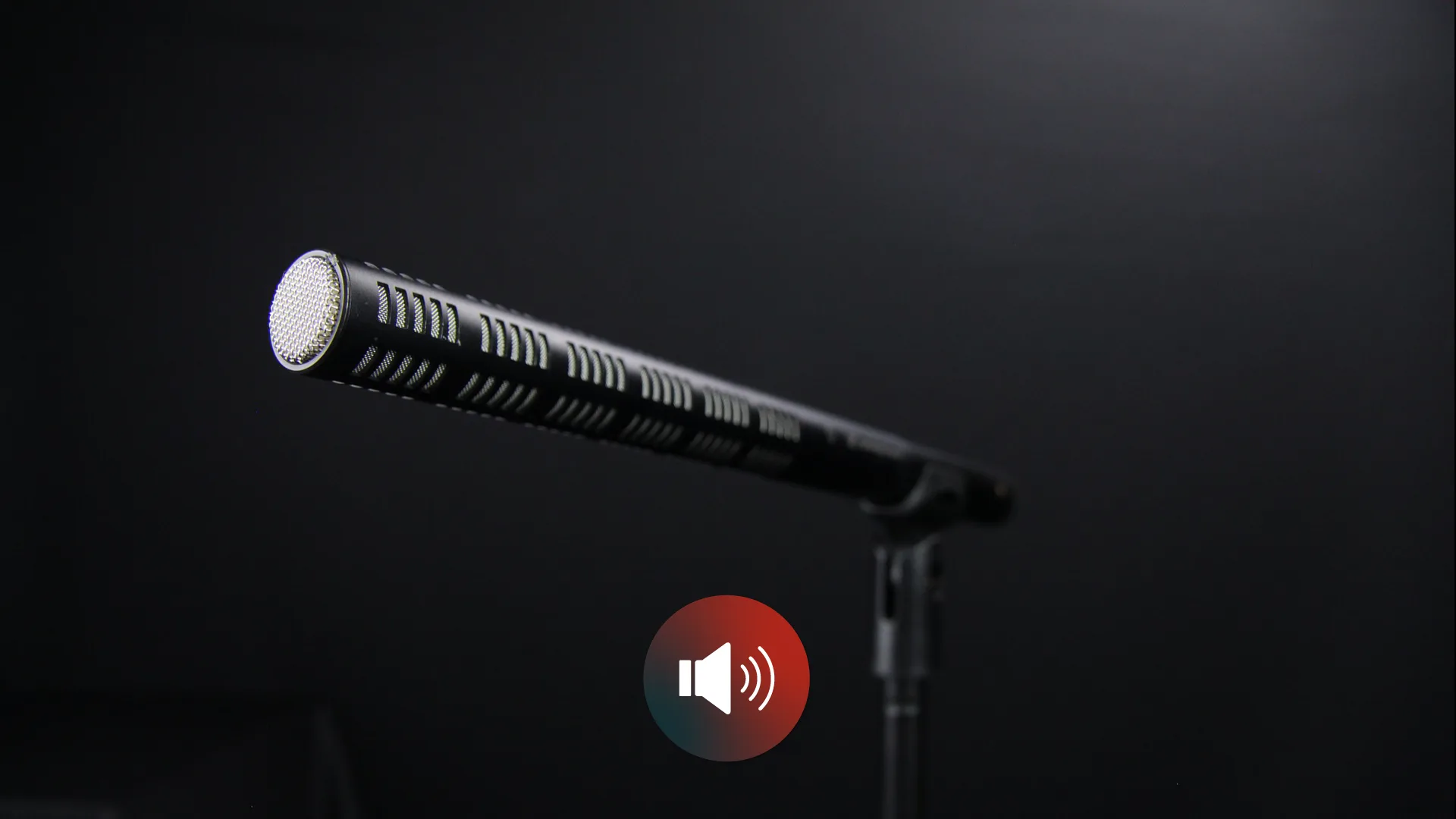 microphone shotgun boom